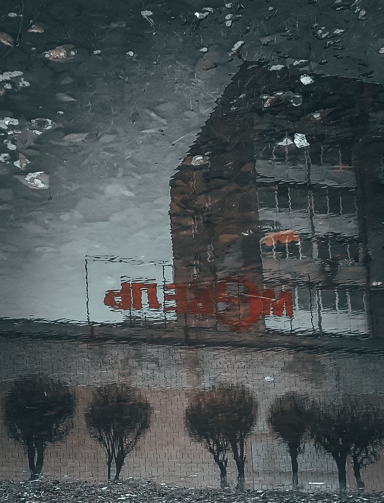 Photograph by Людмила