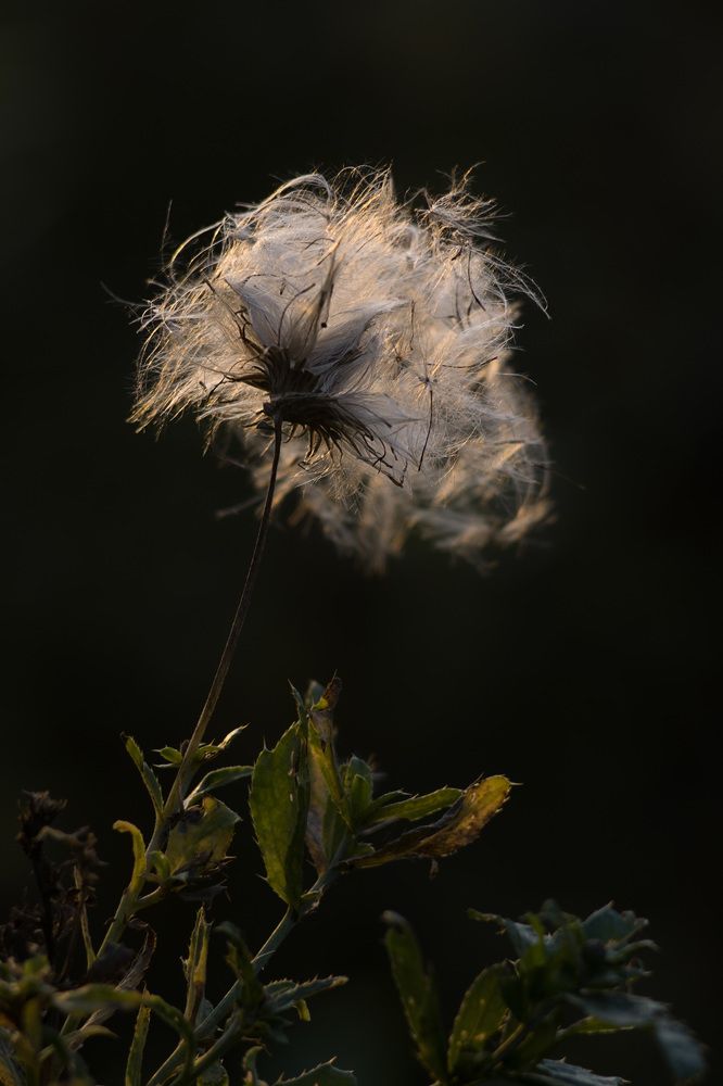Photograph by Наталия Брянцева
