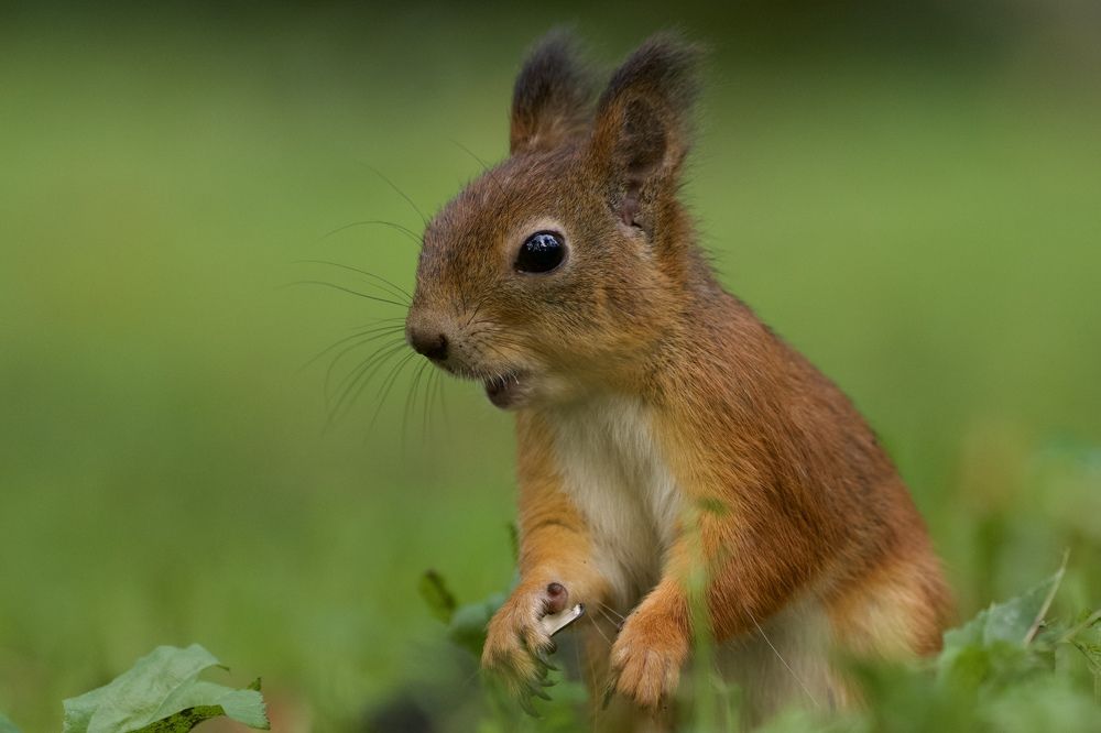 Фотография автора Viktoriya Kim