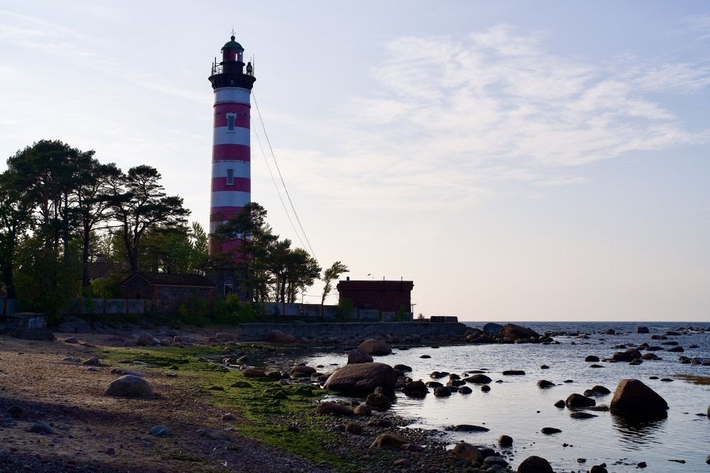 Фотография автора Viktoriya Kim