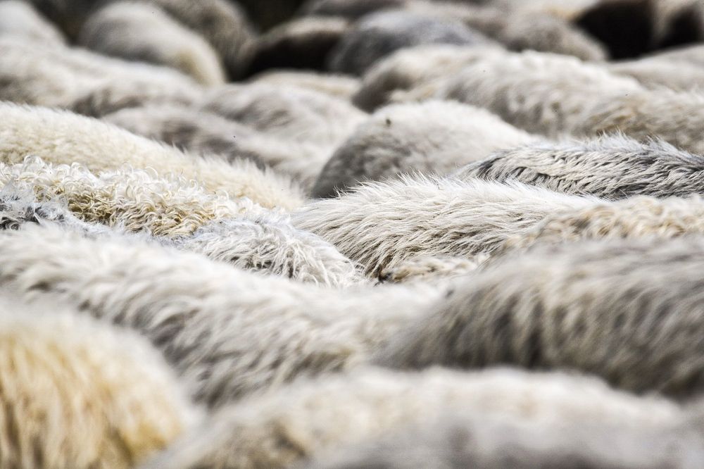 Photograph by Bogdan Dumitru