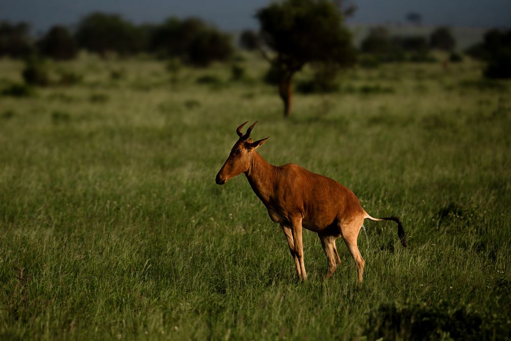 Photograph by Angelika Martko