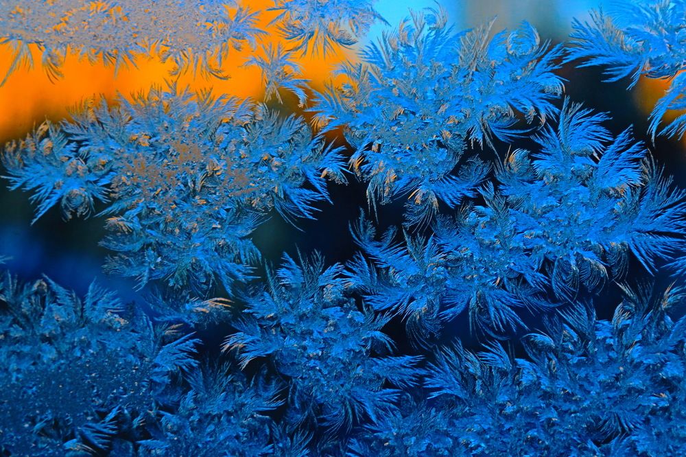 Букет Снежной королевы.