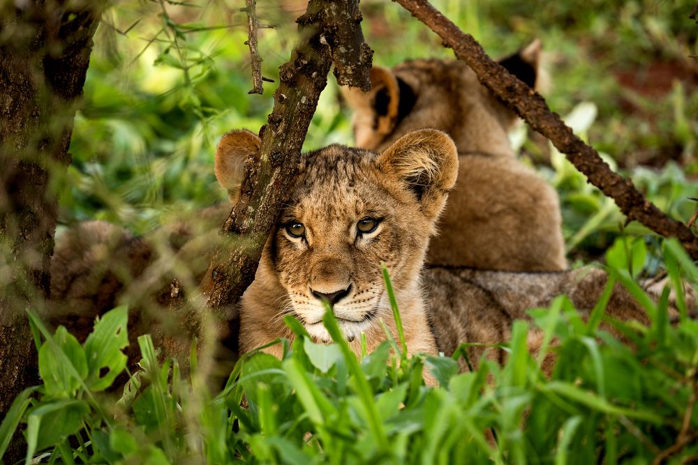 Photograph by Angelika Martko