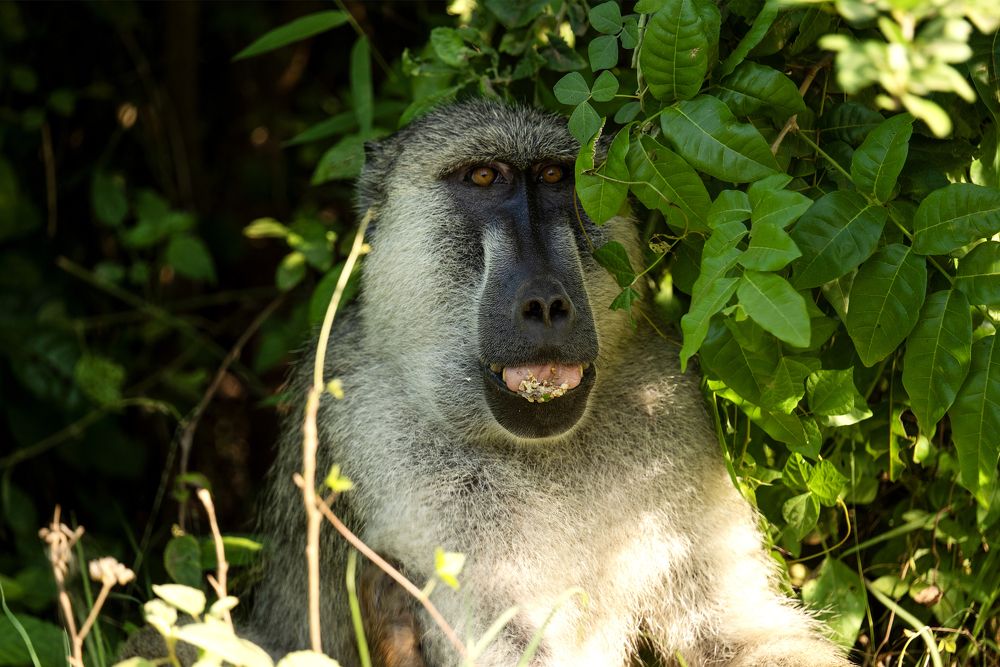 Photograph by Angelika Martko