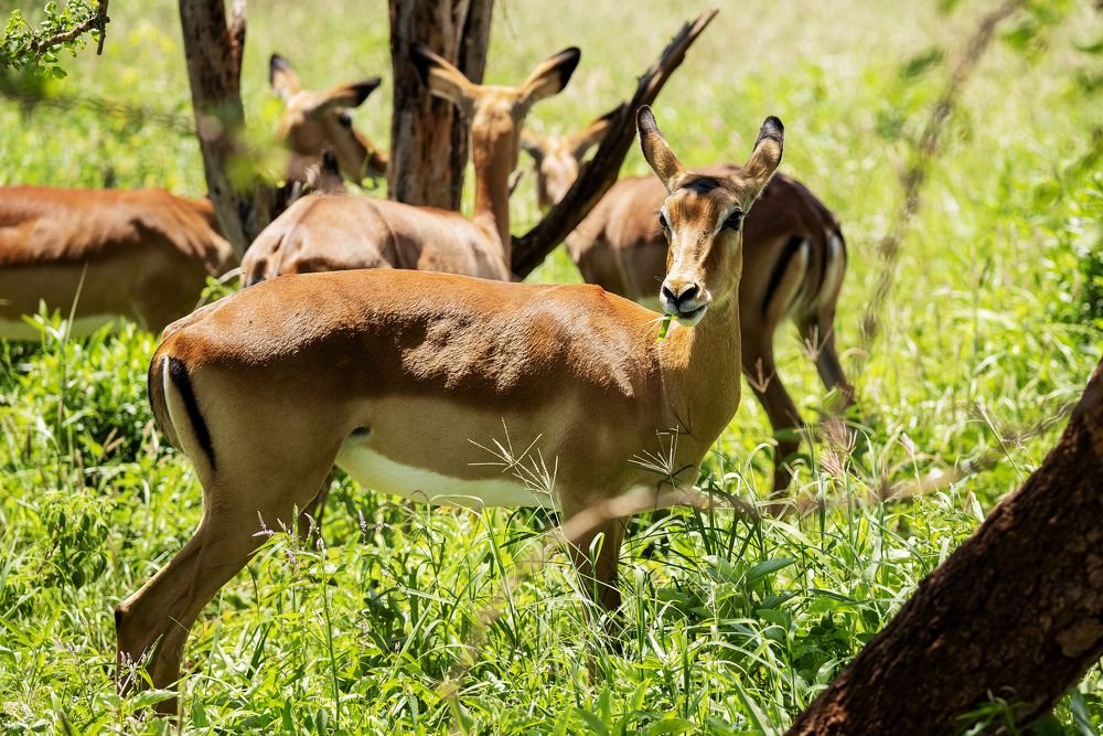 Photograph by Angelika Martko