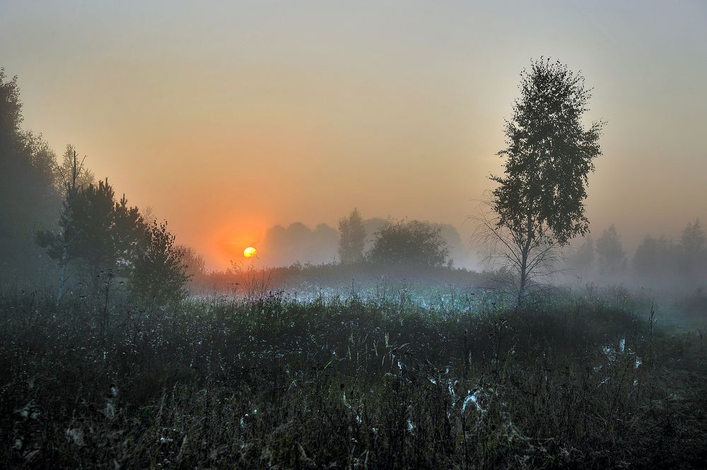 Photograph by Cергей Абакумов