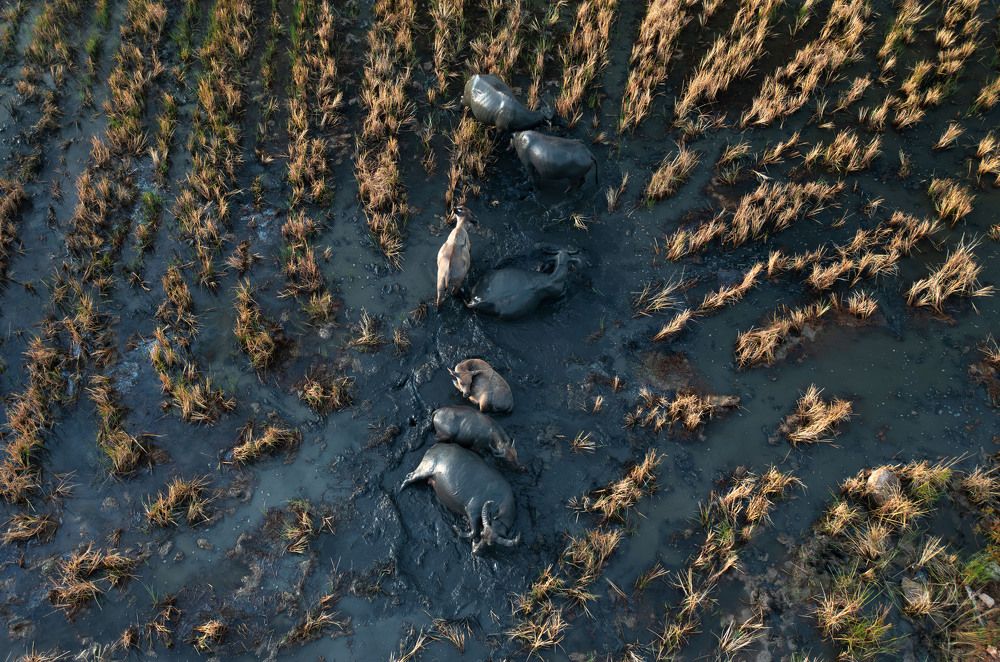 Фотография автора Lien Vu