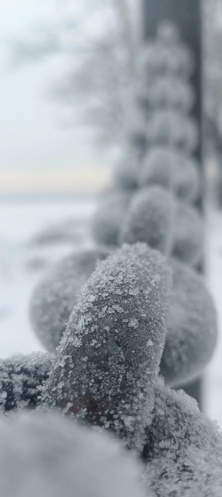 Photograph by Светлана