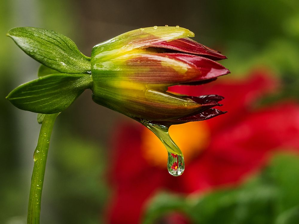 Фотография автора Борис Журавлёв