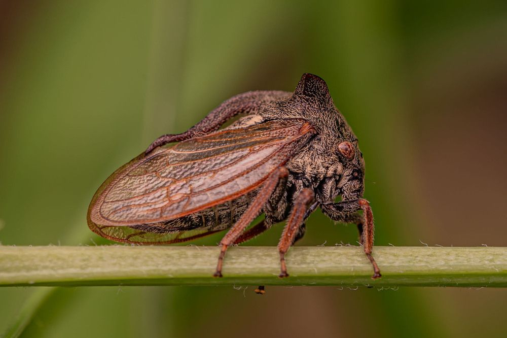 Фотография автора Виталий Сурков