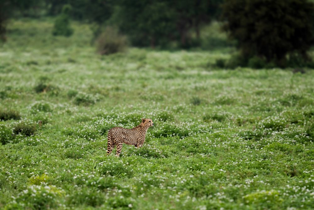 Photograph by Angelika Martko
