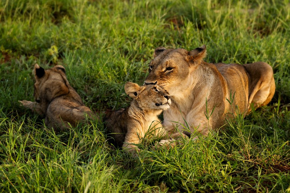 Photograph by Angelika Martko