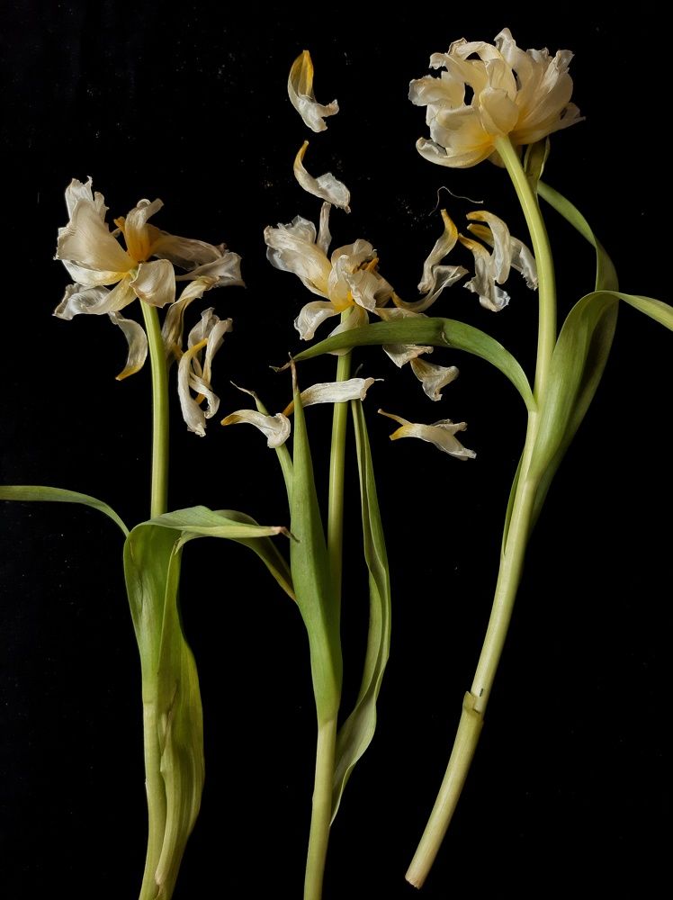 Photograph by Алия Латыйпова