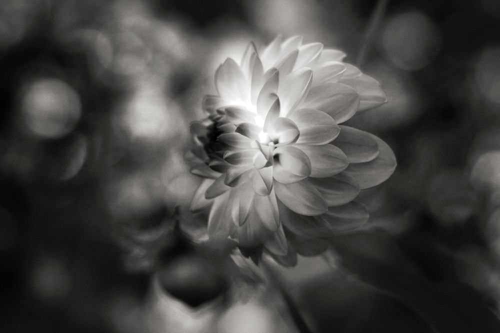 Фантазийно - цветочное