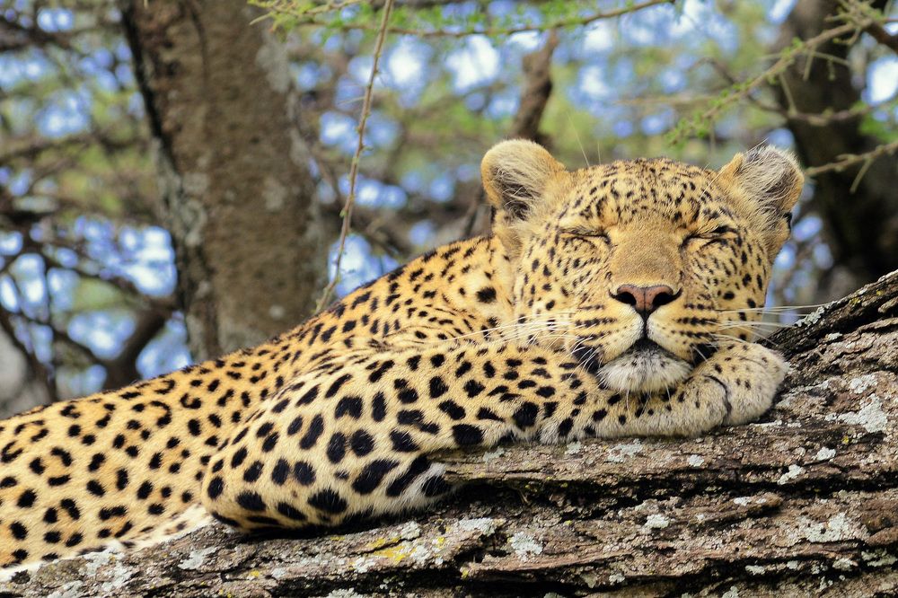 Photograph by Paolo Mola