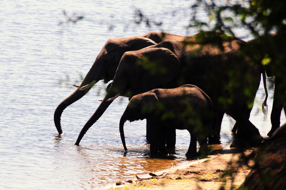 Photograph by Paolo Mola