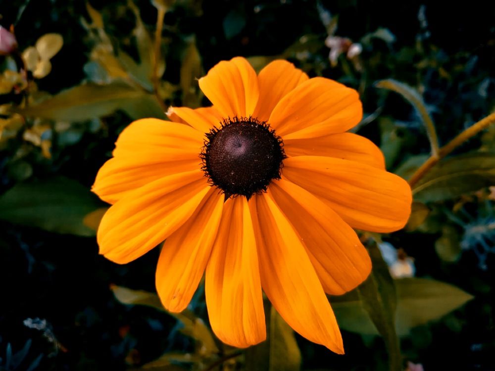 Photograph by Ирина Скворцова