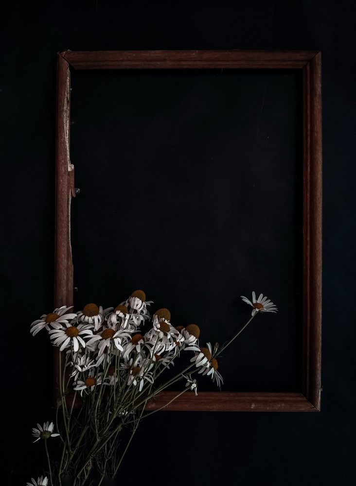 Photograph by Алия Латыйпова