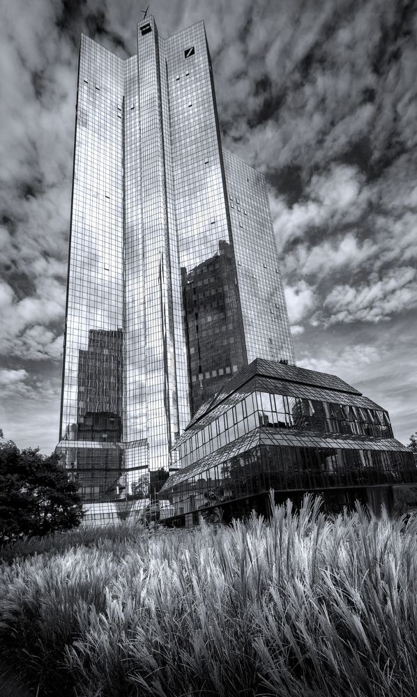 ... grass at home.... Frankfurt am Main