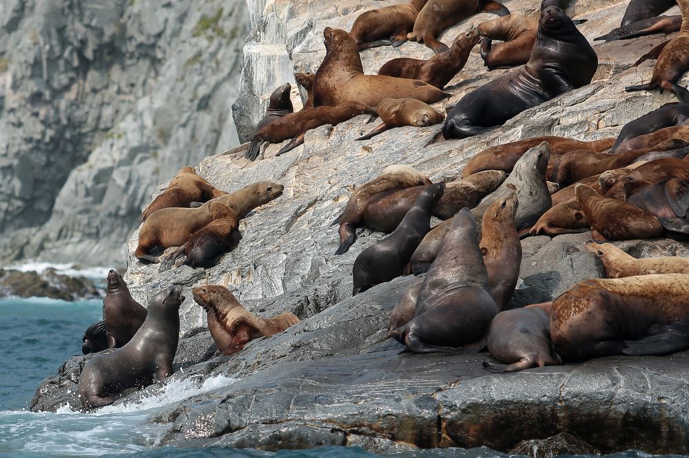 Photograph by Александр Масенко