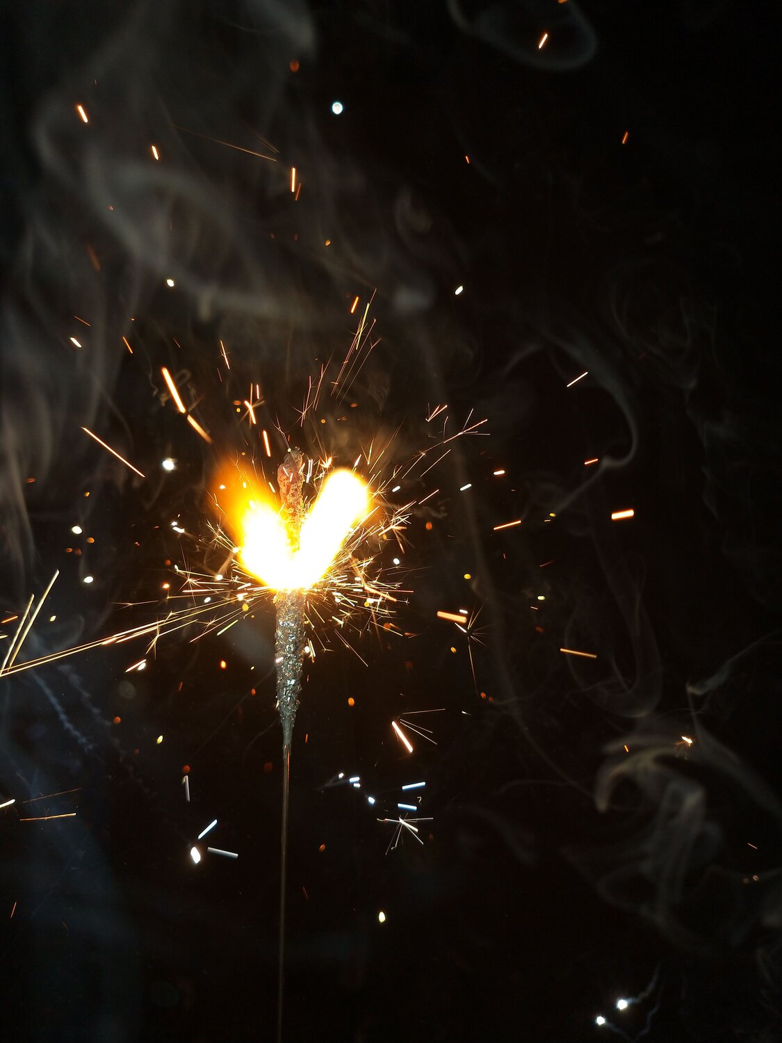 Photo #9959154