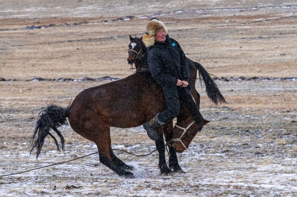 Фотография автора Аяужан Утеулинова