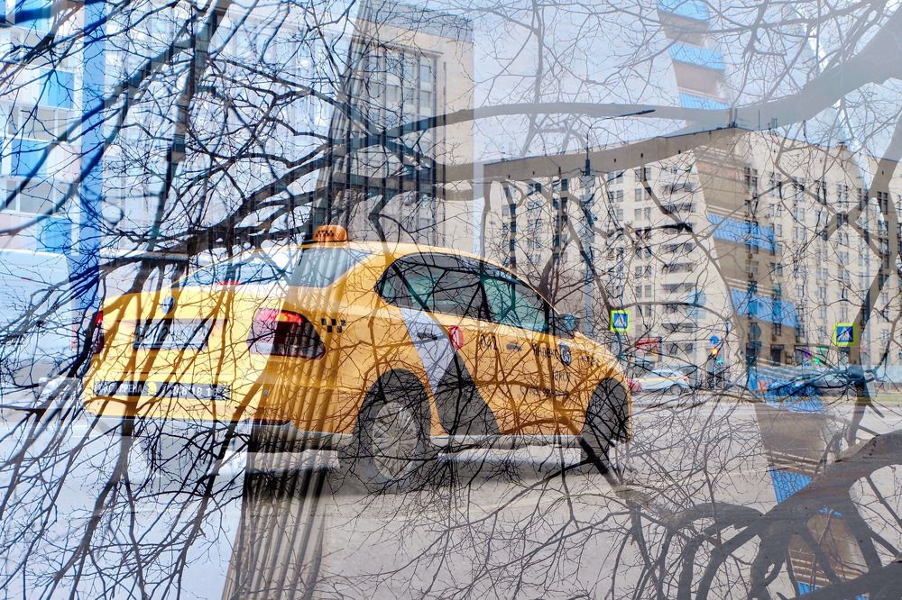 Photograph by LarisaMostseeva