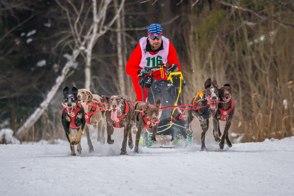 Photograph by Жданов Дмитрий