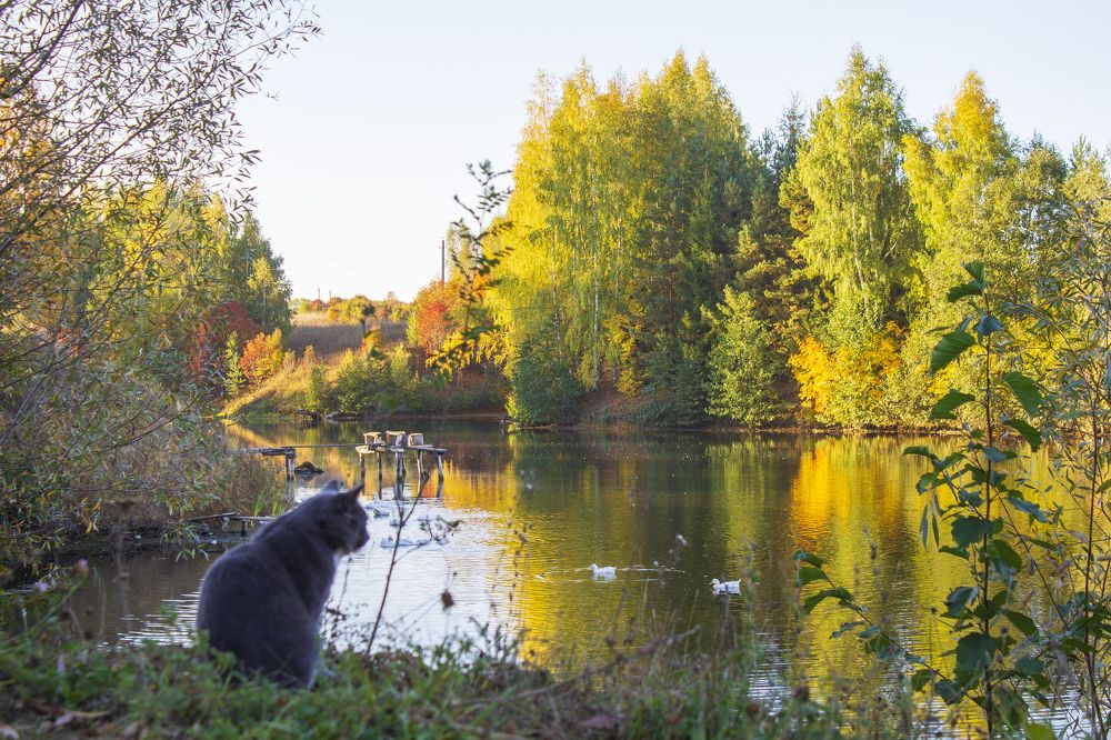 Photograph by Оксана Леонтьева