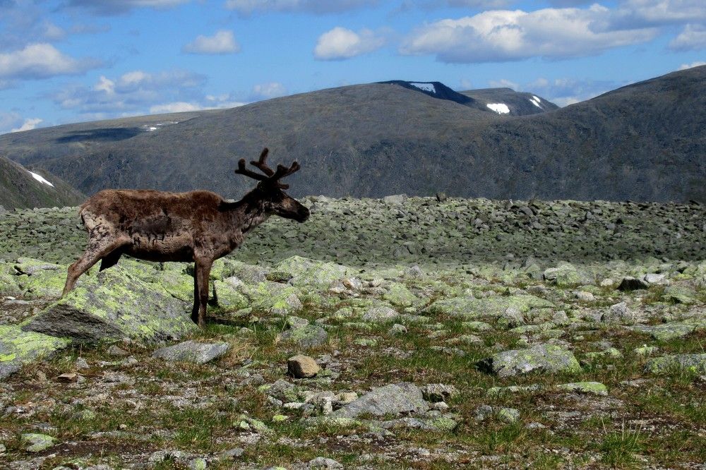 Photograph by Ольга Березовская