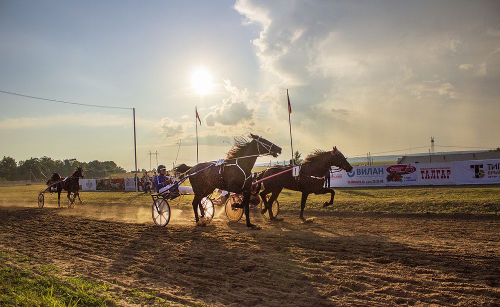 Photograph by Оксана Леонтьева