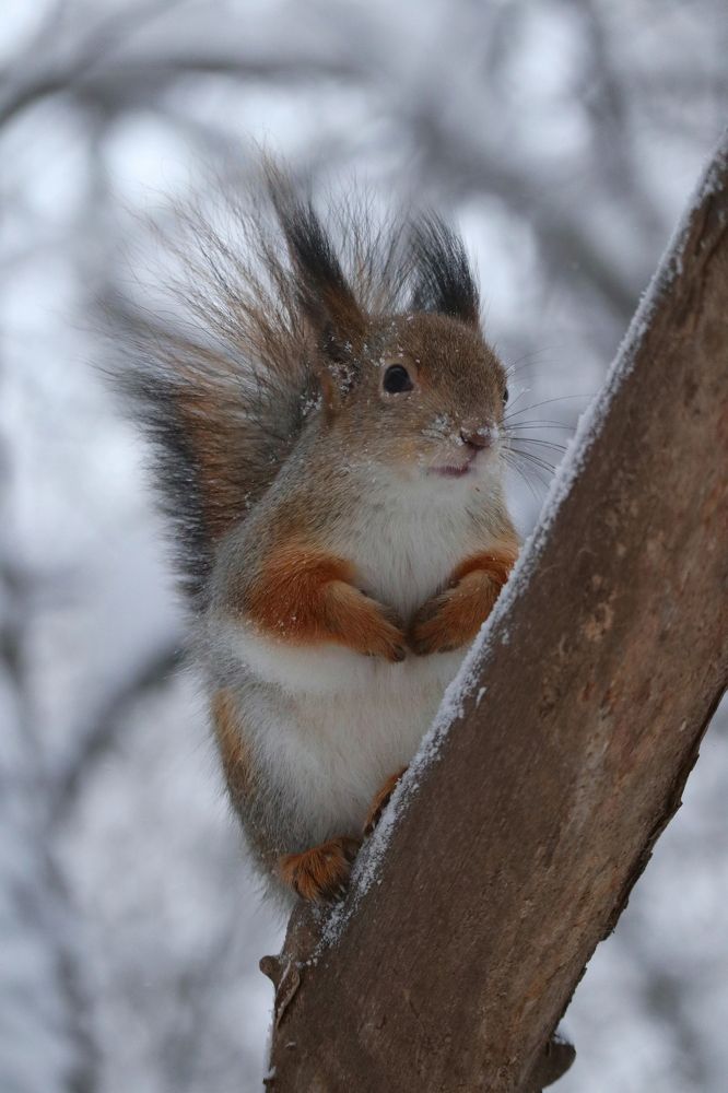 Photograph by Мария Глухова