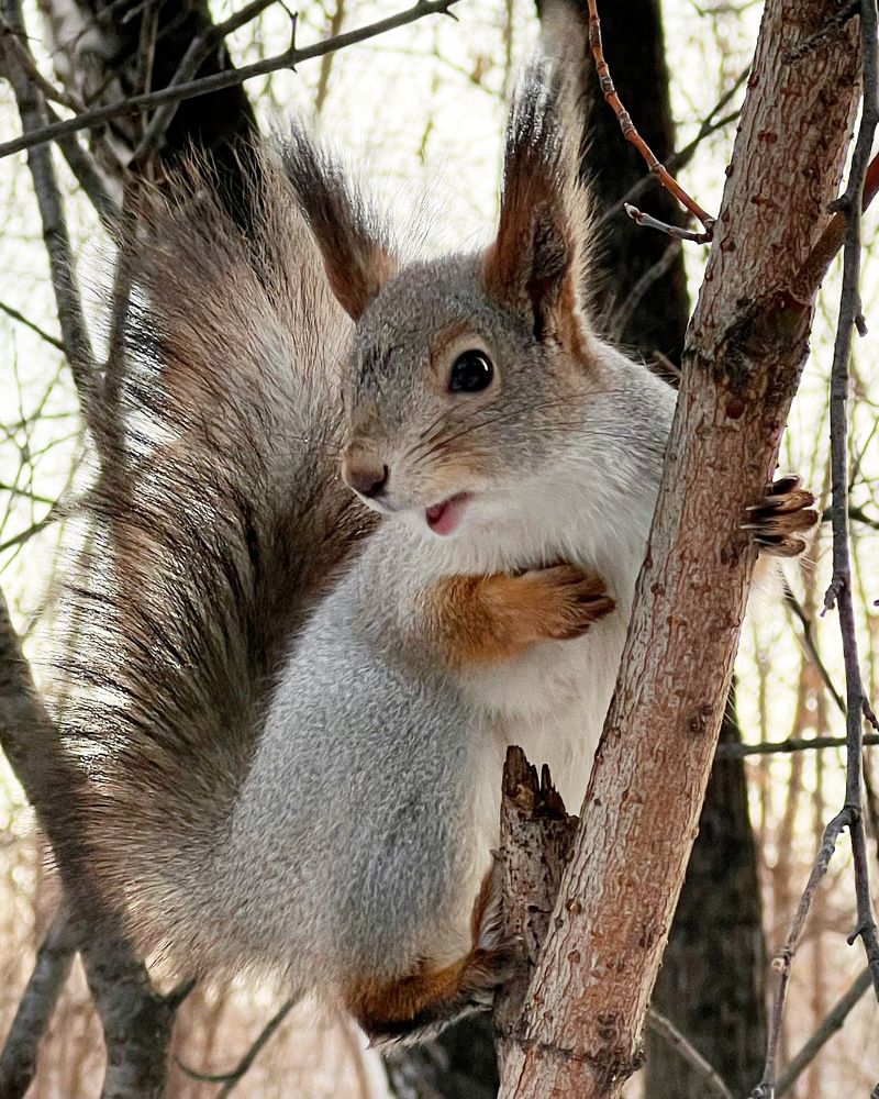 Photograph by Татьяна Волохова