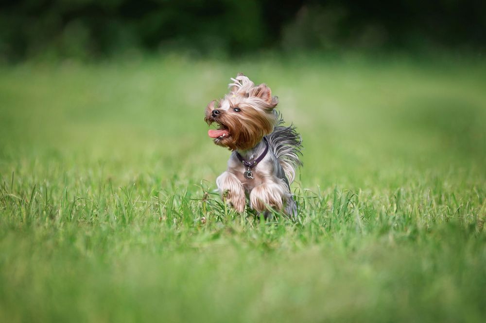 Photograph by Елена Вьюркова