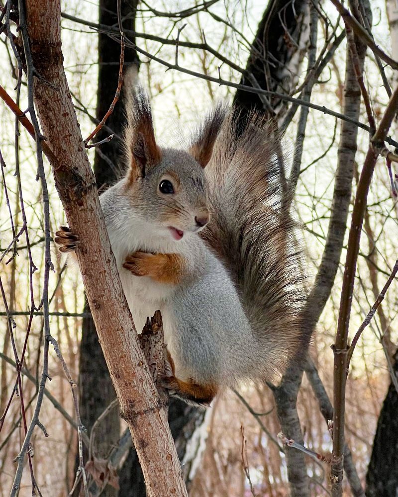 Photograph by Татьяна Волохова