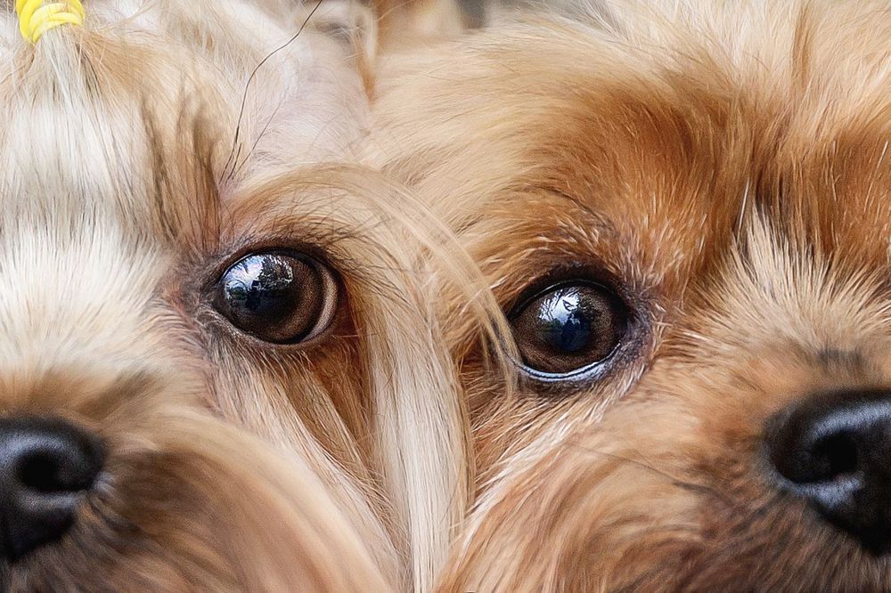 Photograph by Елена Вьюркова