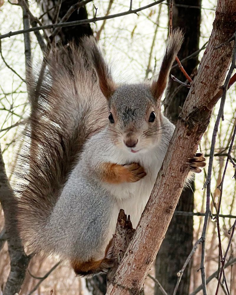 Photograph by Татьяна Волохова