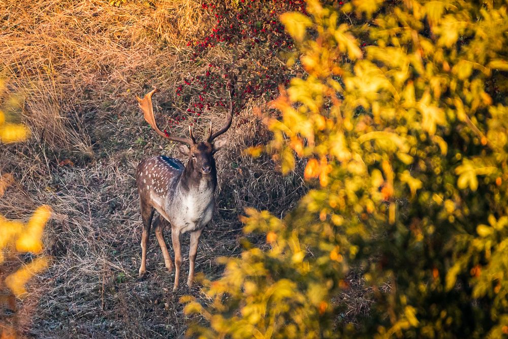 Photograph by levi bagy