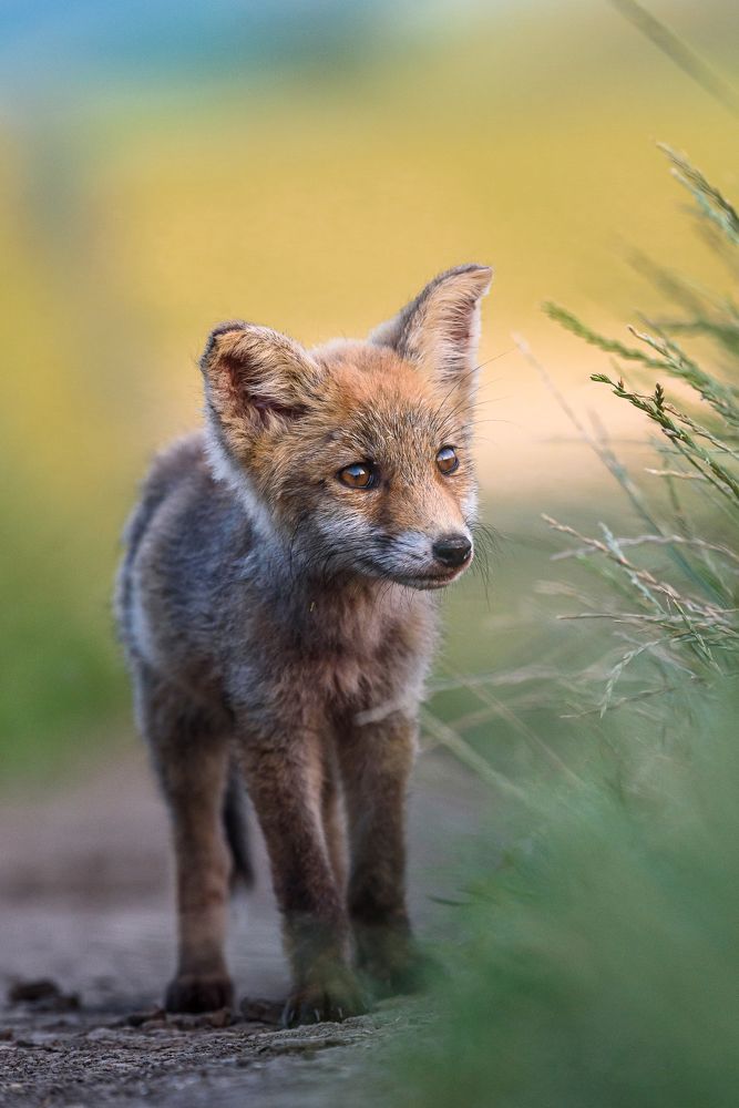 Photograph by levi bagy