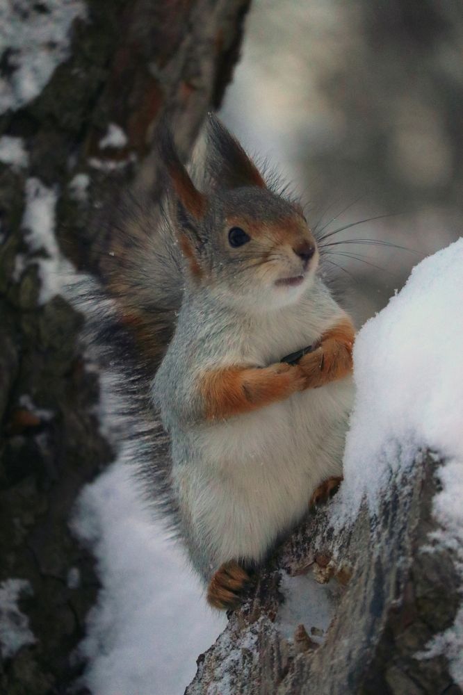Photograph by Мария Глухова