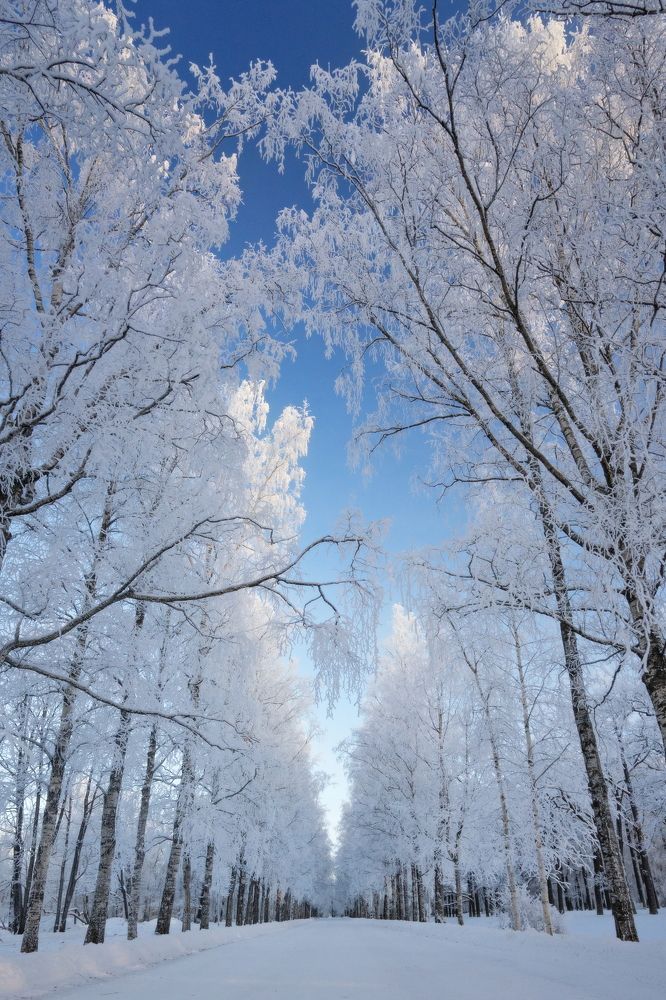 Фотография автора Владимир Коровяковский