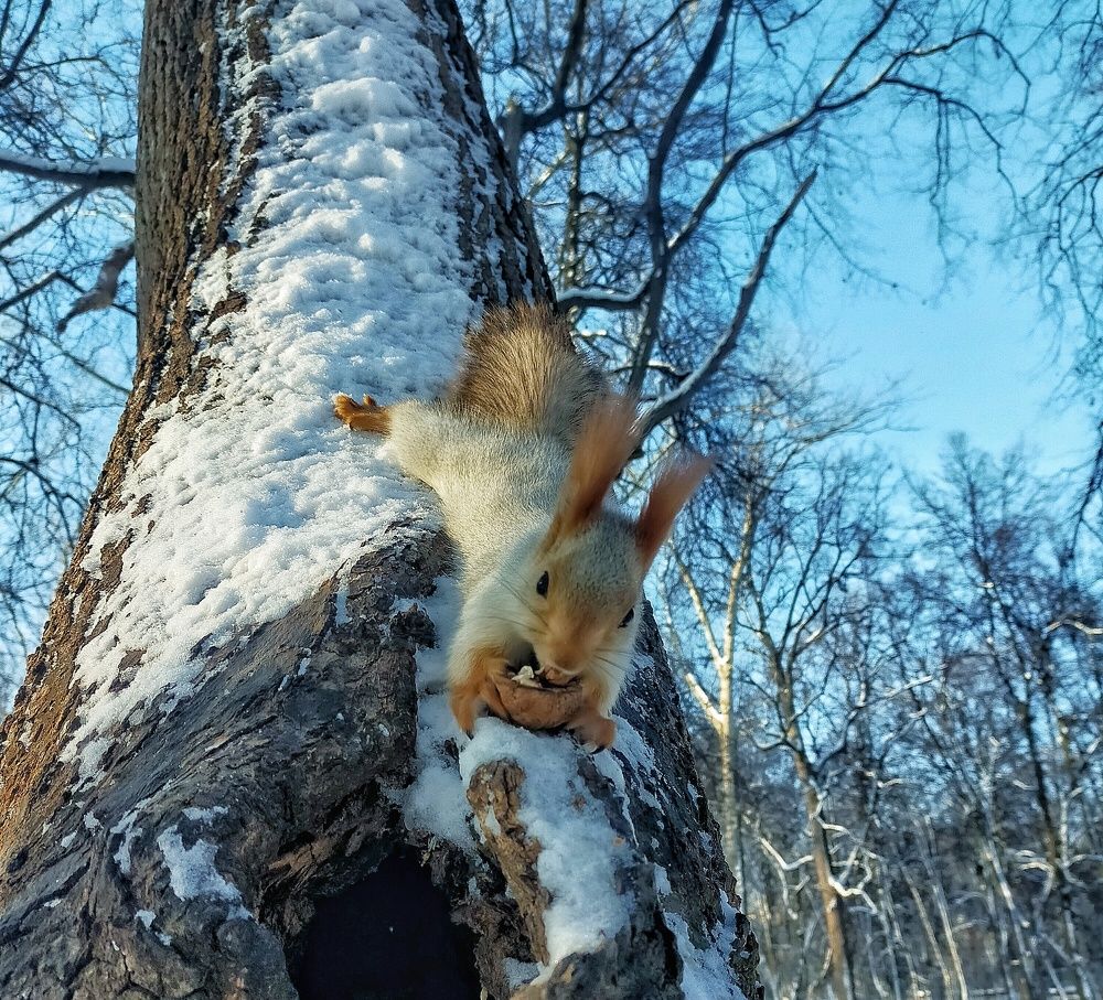 Photograph by Ольга Мартьянова