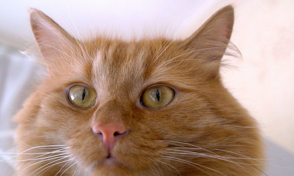 Photograph by Алия Байсыкова