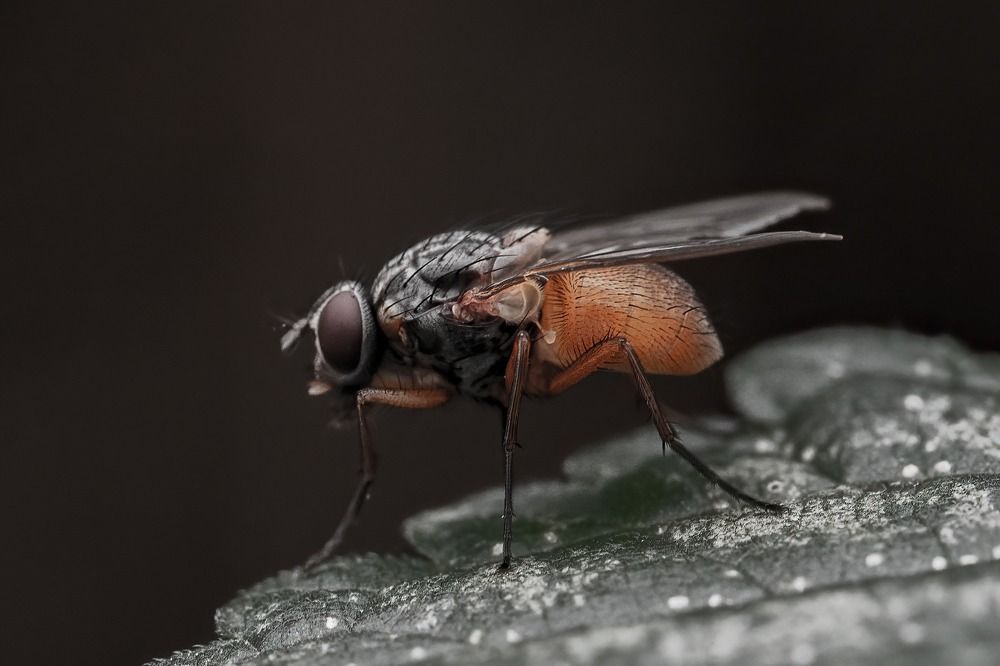 Photograph by Djordje Filipovic