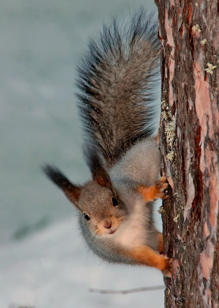 Photograph by Сергей Петров