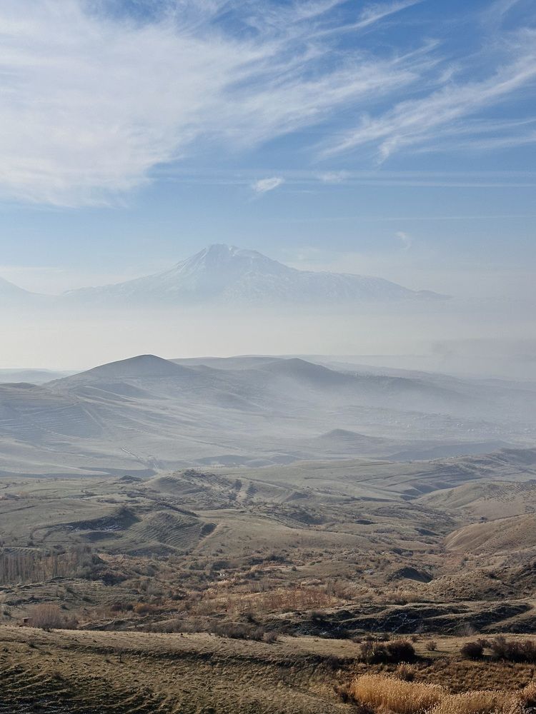 Фотография автора Юлия Шинкаренко