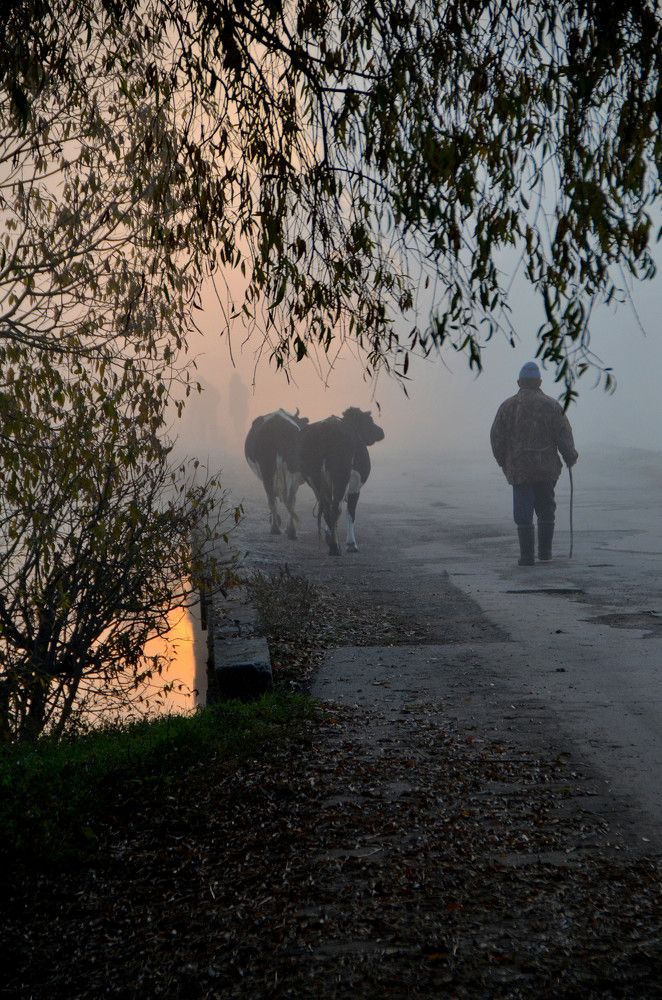 Photograph by Андрей Антипатров