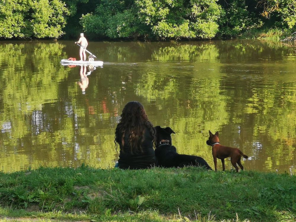 На реке Пахре