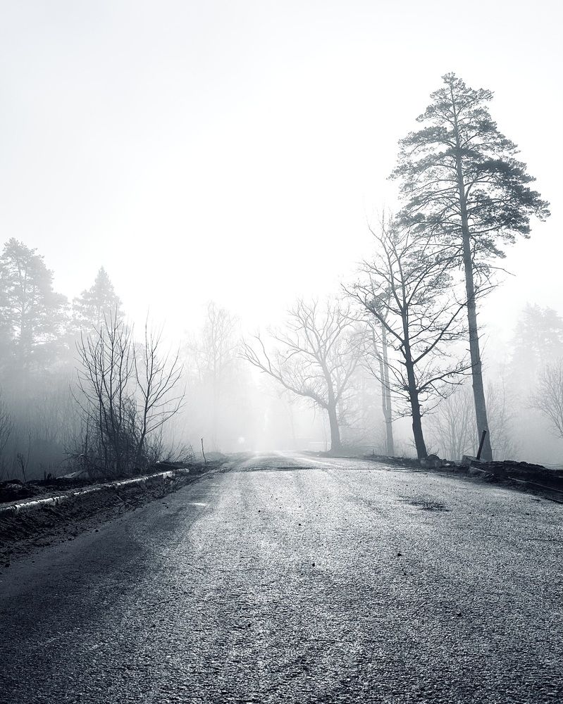 Фотография автора Юлия Шинкаренко